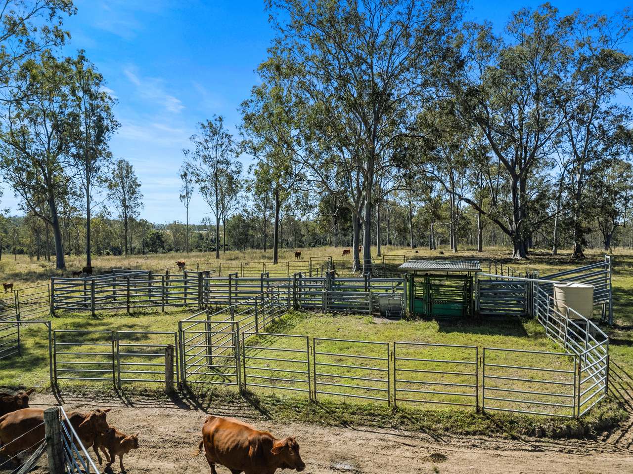 1974 Bauple Woolooga Road, Miva Auction by Farmbuy.com - image 7
