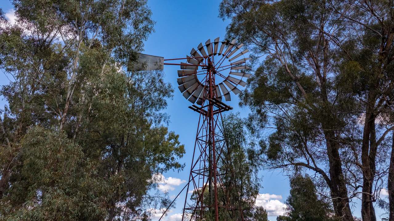 5128 Tooraweenah Road, Gulargambone Auction by Farmbuy.com - image 15