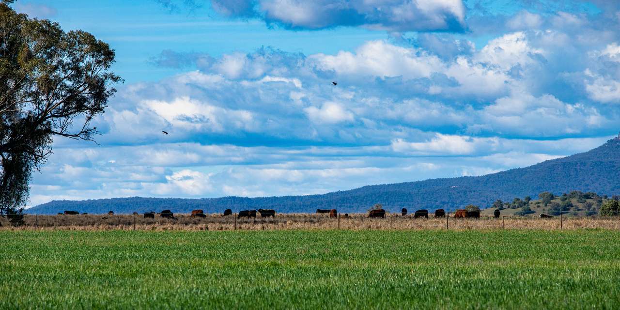5128 Tooraweenah Road, Gulargambone Auction by Farmbuy.com - image 9