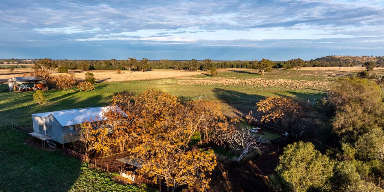 5128 Tooraweenah Road, Gulargambone Auction by Farmbuy.com - image 28