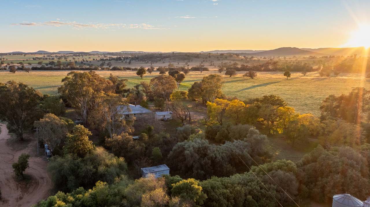 5128 Tooraweenah Road, Gulargambone Auction by Farmbuy.com - image 23
