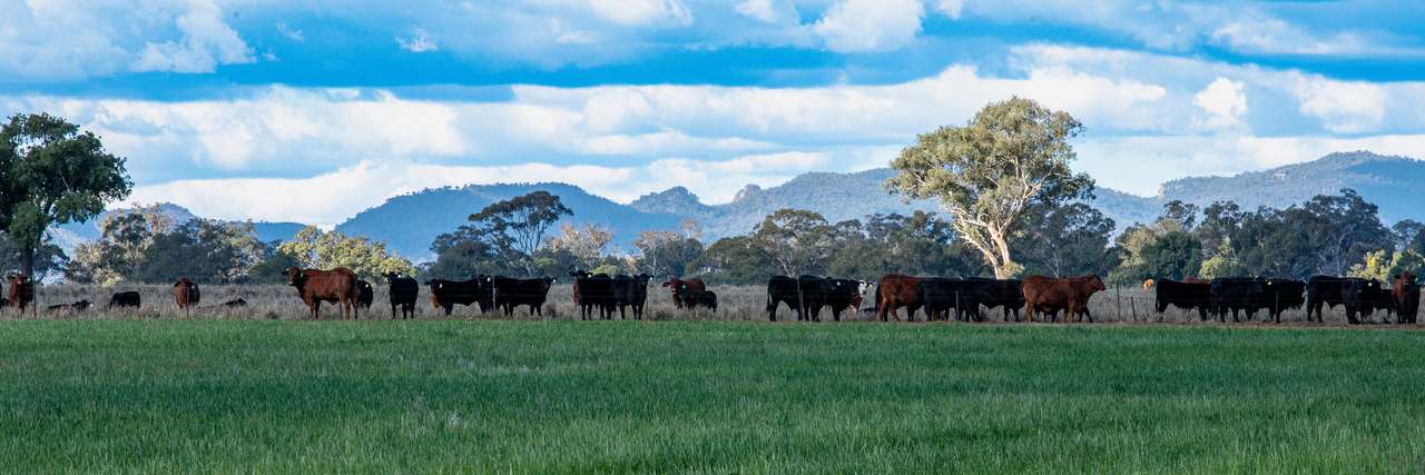 5128 Tooraweenah Road, Gulargambone Auction by Farmbuy.com - image 3