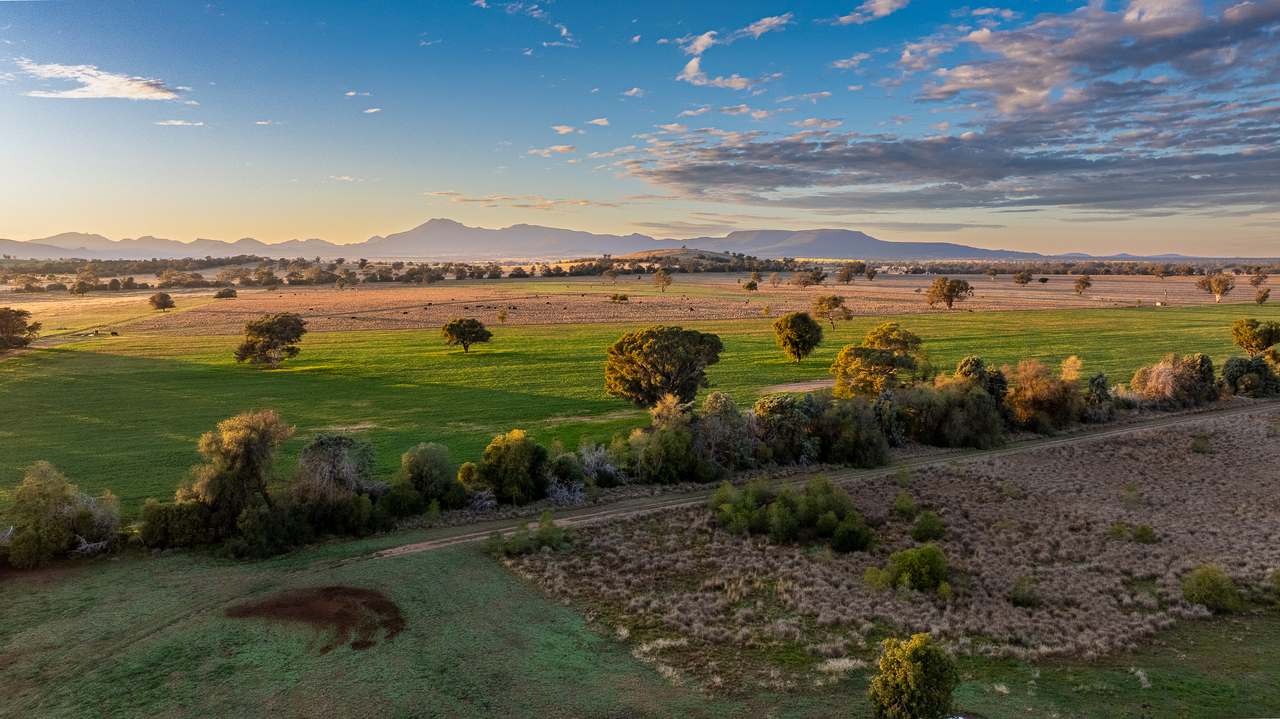 5128 Tooraweenah Road, Gulargambone Auction by Farmbuy.com - image 22
