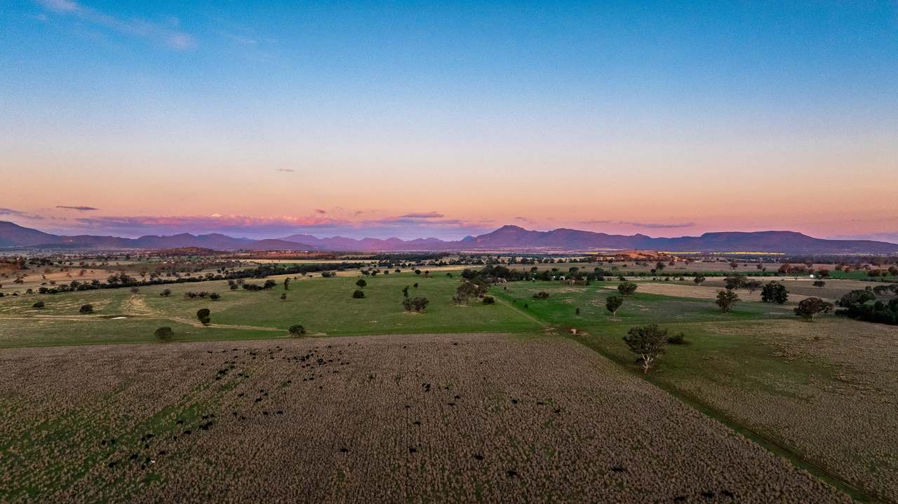 5128 Tooraweenah Road, Gulargambone Auction by Farmbuy.com - image 5