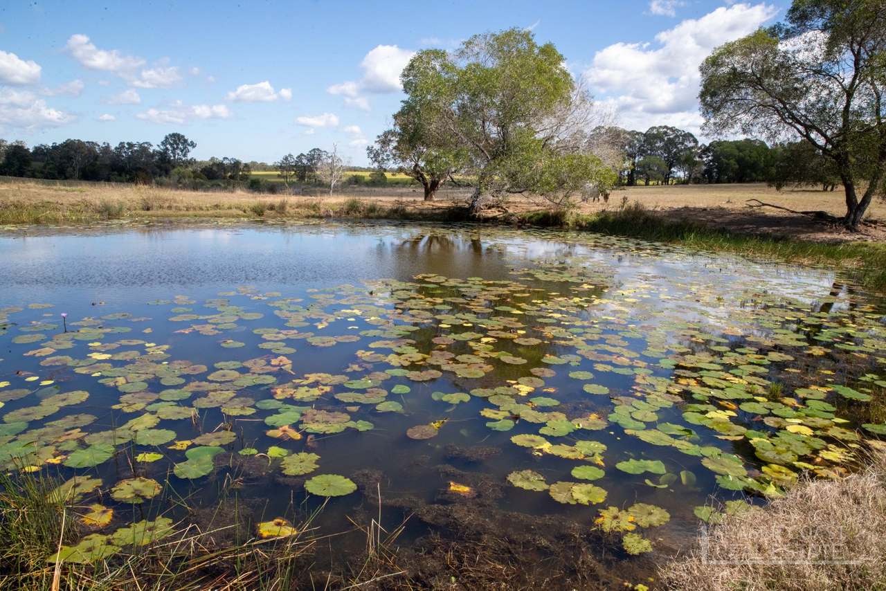 75 Jacobsens Road, Yerra For Sale by Farmbuy.com - image 36