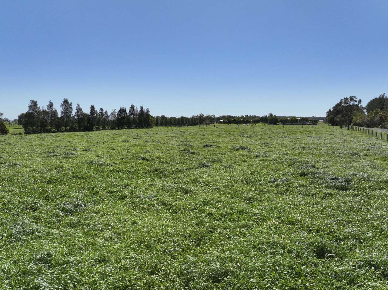 799 Duckenfield Road, Millers Forest For Sale by Farmbuy.com - image 20