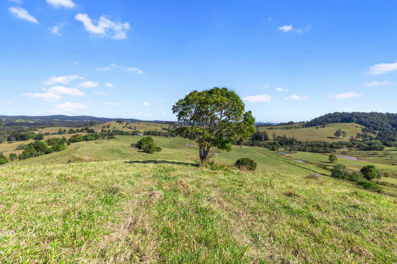 23 Vines Road, Wolvi For Sale by Farmbuy.com - image 4