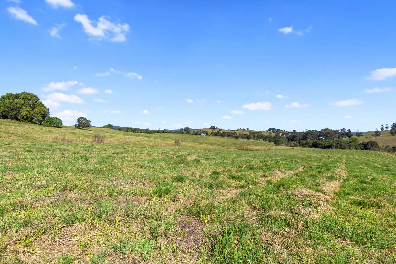 23 Vines Road, Wolvi For Sale by Farmbuy.com - image 3