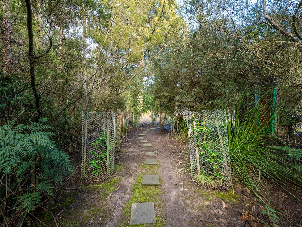 118 Cloudy Bay Road , Lunawanna For Sale by Farmbuy.com - image 9