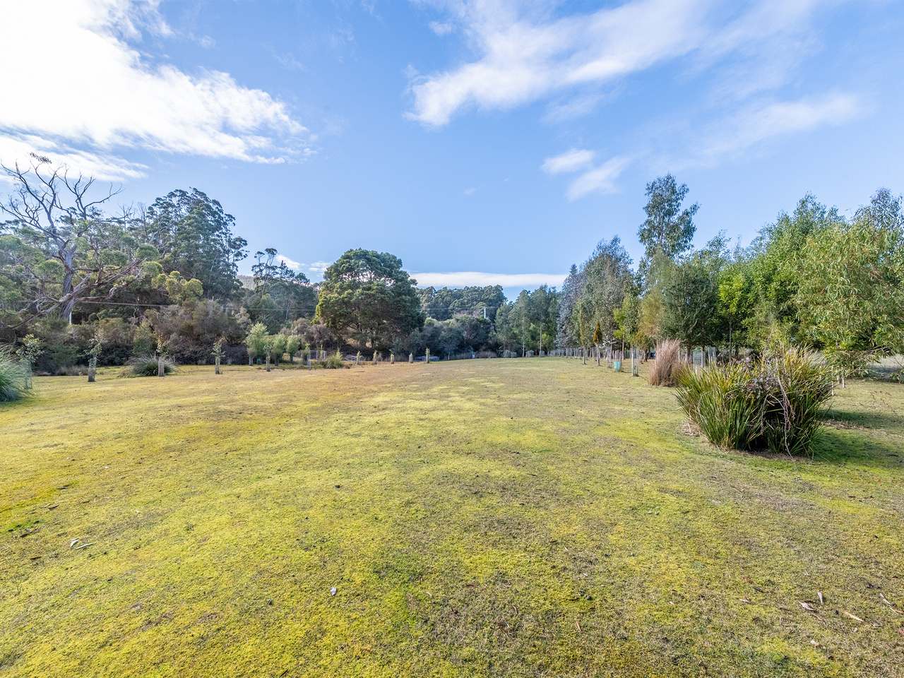 118 Cloudy Bay Road , Lunawanna For Sale by Farmbuy.com - image 6
