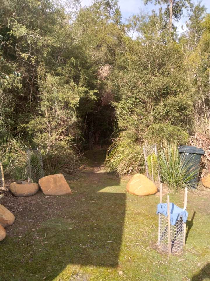 118 Cloudy Bay Road , Lunawanna For Sale by Farmbuy.com - image 11