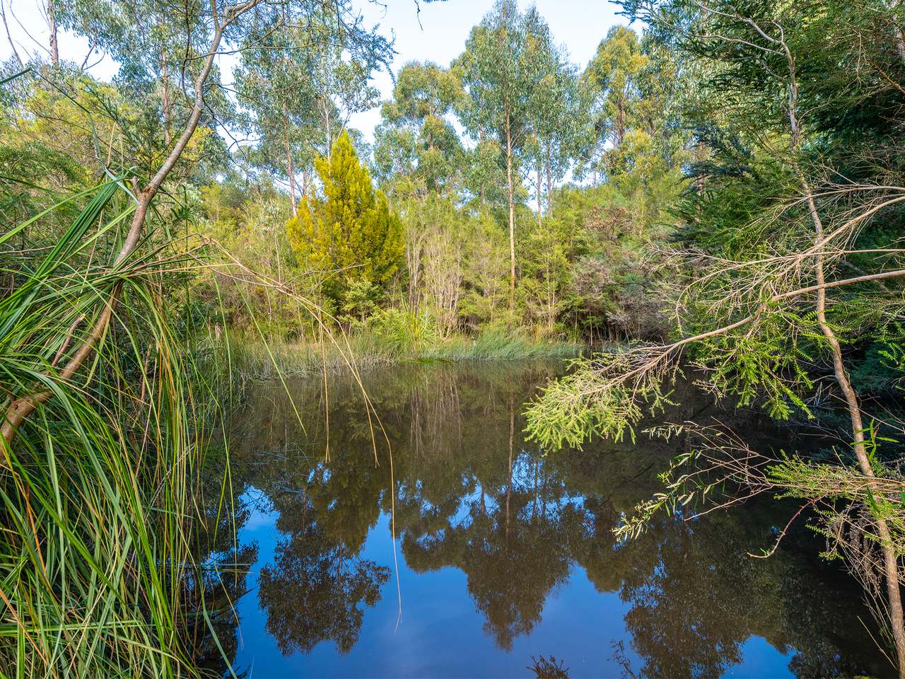 118 Cloudy Bay Road , Lunawanna For Sale by Farmbuy.com - image 8