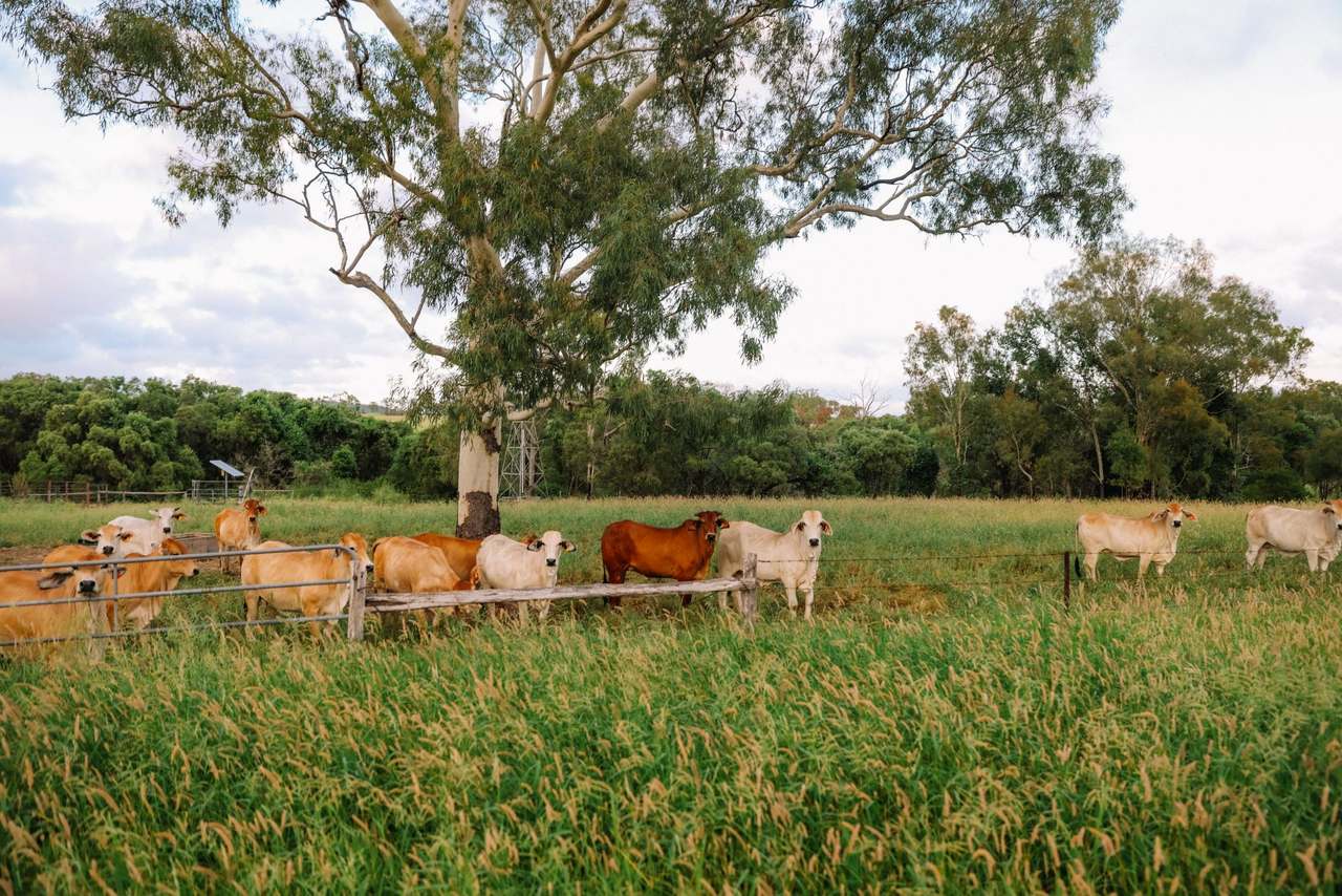 124 Lee Farm Road, Bushley For Sale by Farmbuy.com - image 12