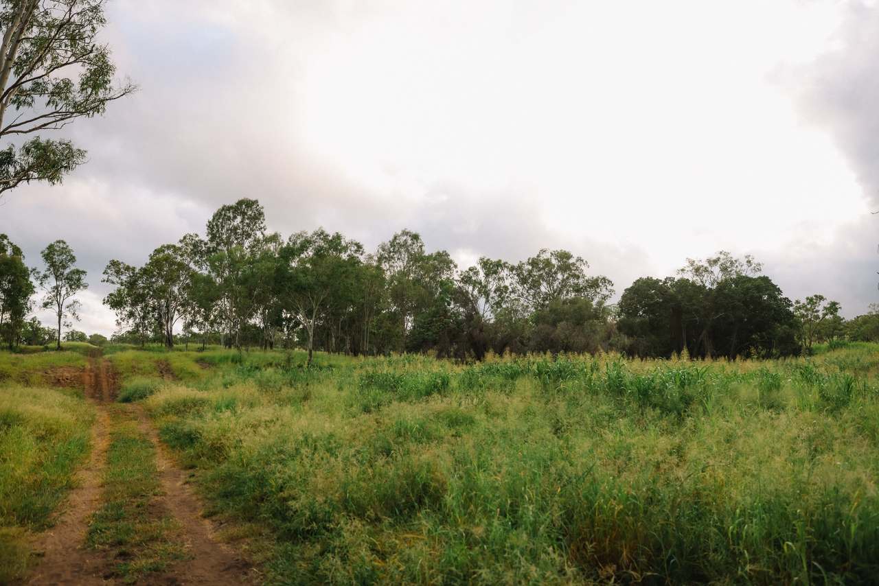 124 Lee Farm Road, Bushley For Sale by Farmbuy.com - image 9