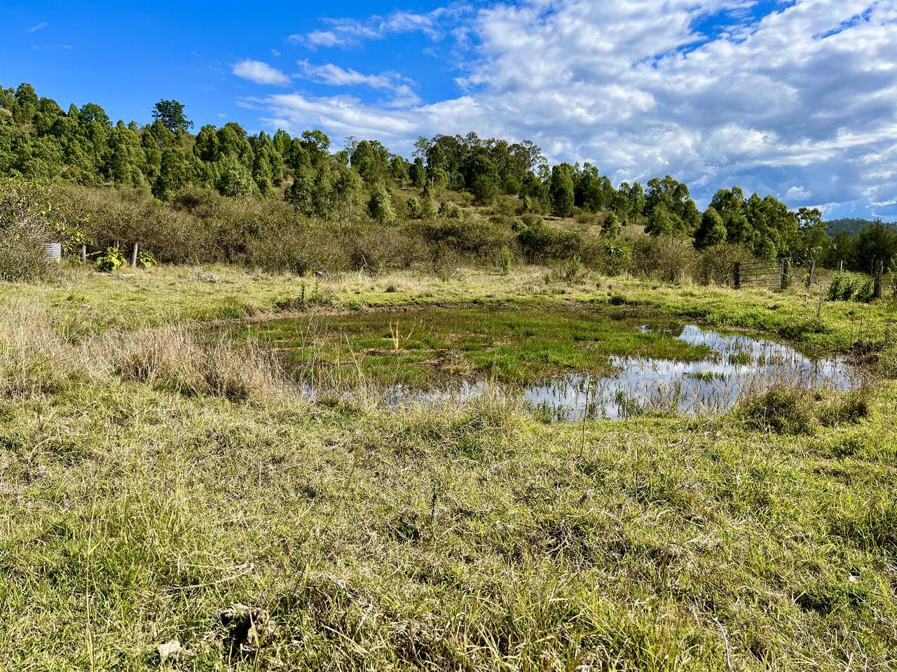 106 Sim Jue Creek Road, Dundas For Sale by Farmbuy.com - image 9