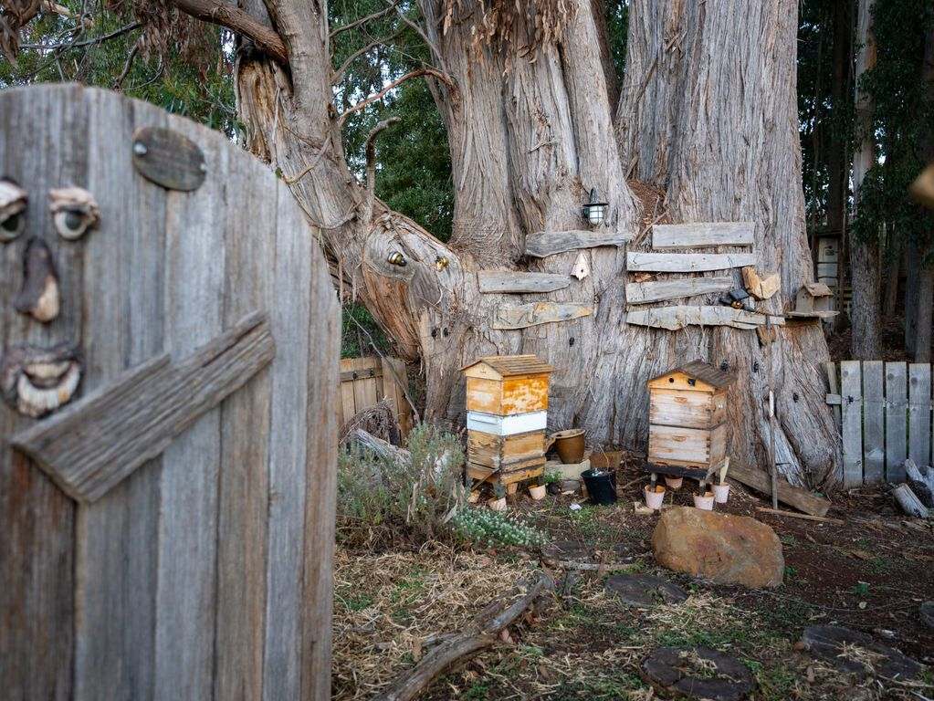 4 Travers Lane, Howth Expressions of Interest by Farmbuy.com - image 24