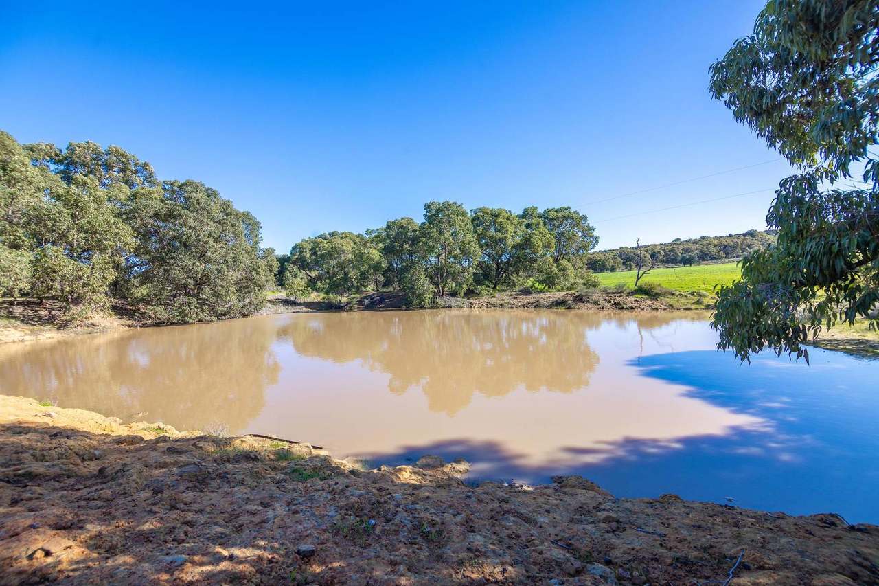 55 Pen Road, Warradarge For Sale by Farmbuy.com - image 13