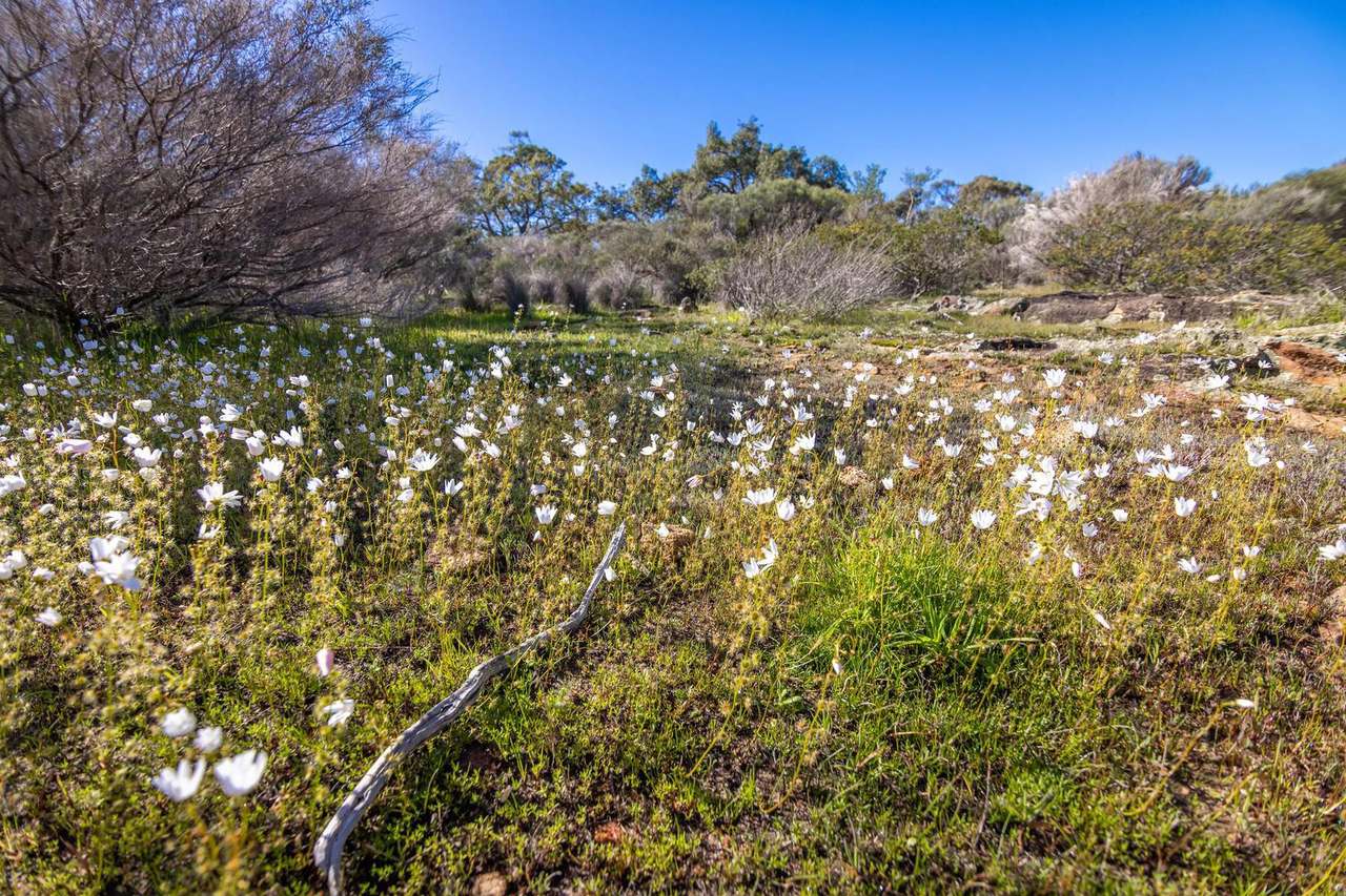 55 Pen Road, Warradarge For Sale by Farmbuy.com - image 38