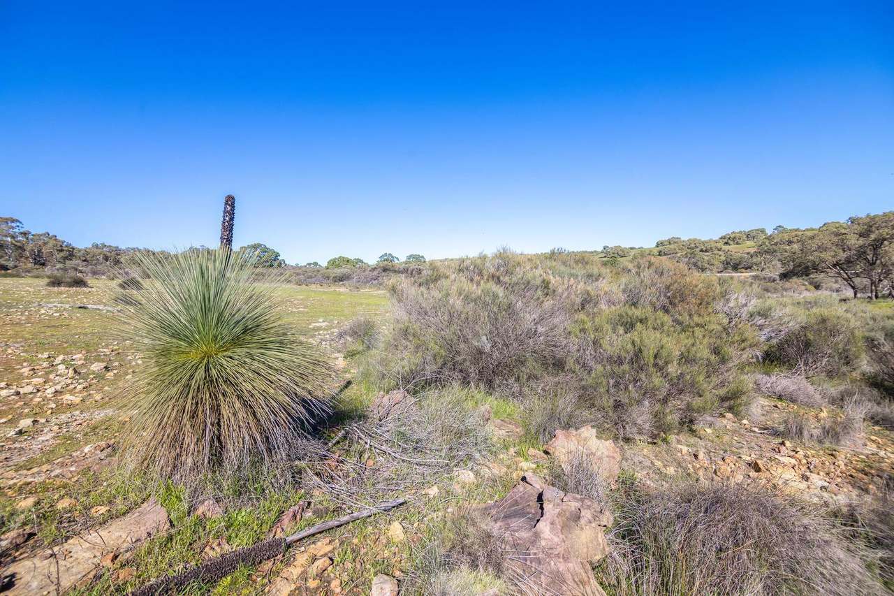 55 Pen Road, Warradarge For Sale by Farmbuy.com - image 33