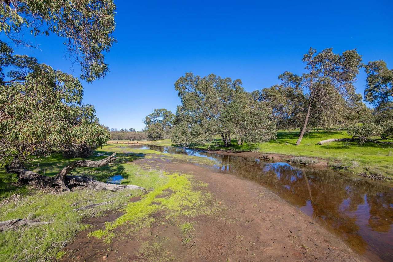 55 Pen Road, Warradarge For Sale by Farmbuy.com - image 35