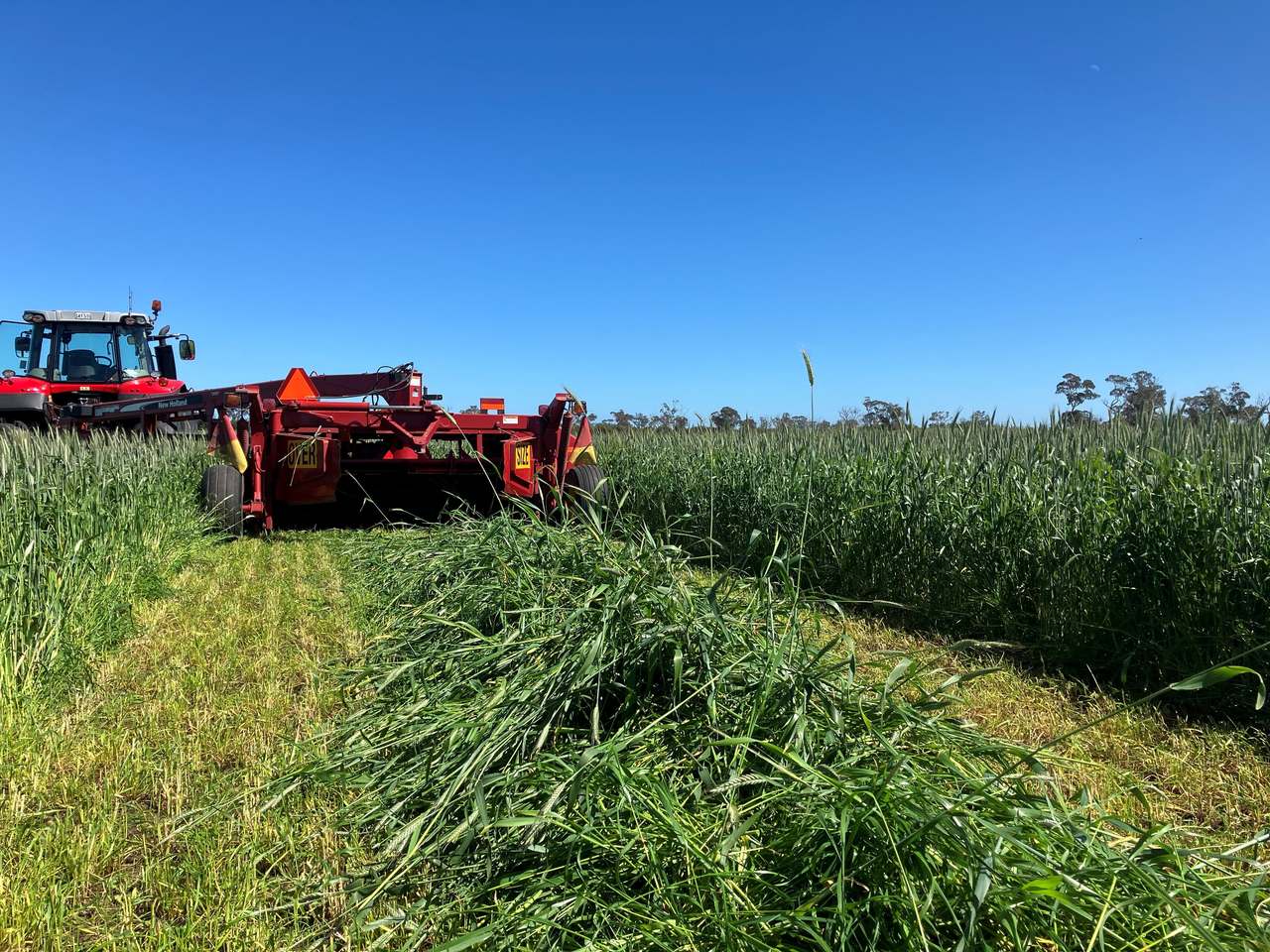 281 Crower Road, Avenue Range For Sale by Farmbuy.com - image 3