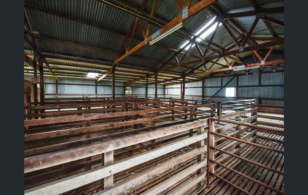 281 Crower Road, Avenue Range For Sale by Farmbuy.com - image 6