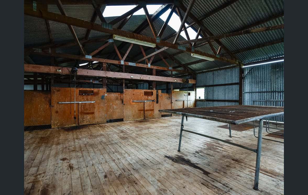 281 Crower Road, Avenue Range For Sale by Farmbuy.com - image 7