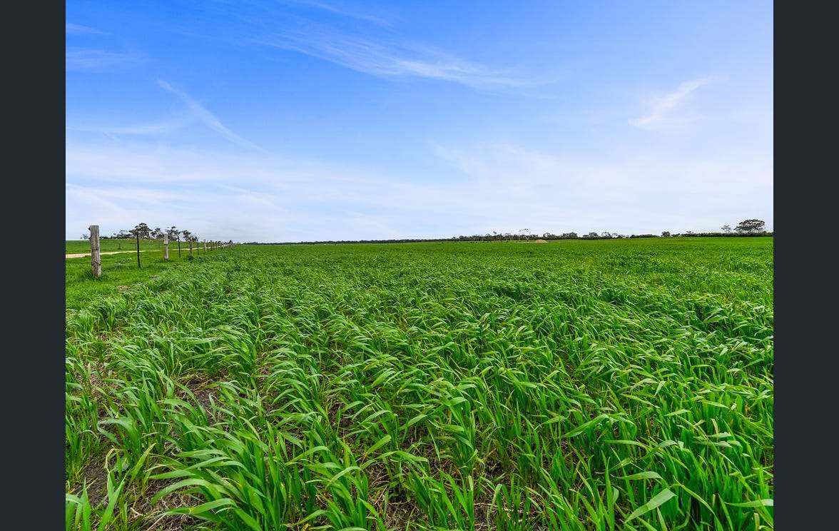 281 Crower Road, Avenue Range For Sale by Farmbuy.com - image 29