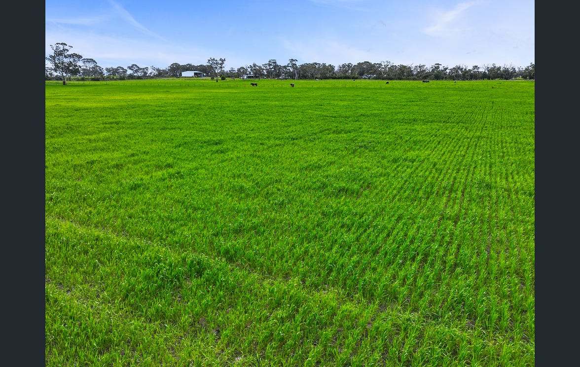 281 Crower Road, Avenue Range For Sale by Farmbuy.com - image 26