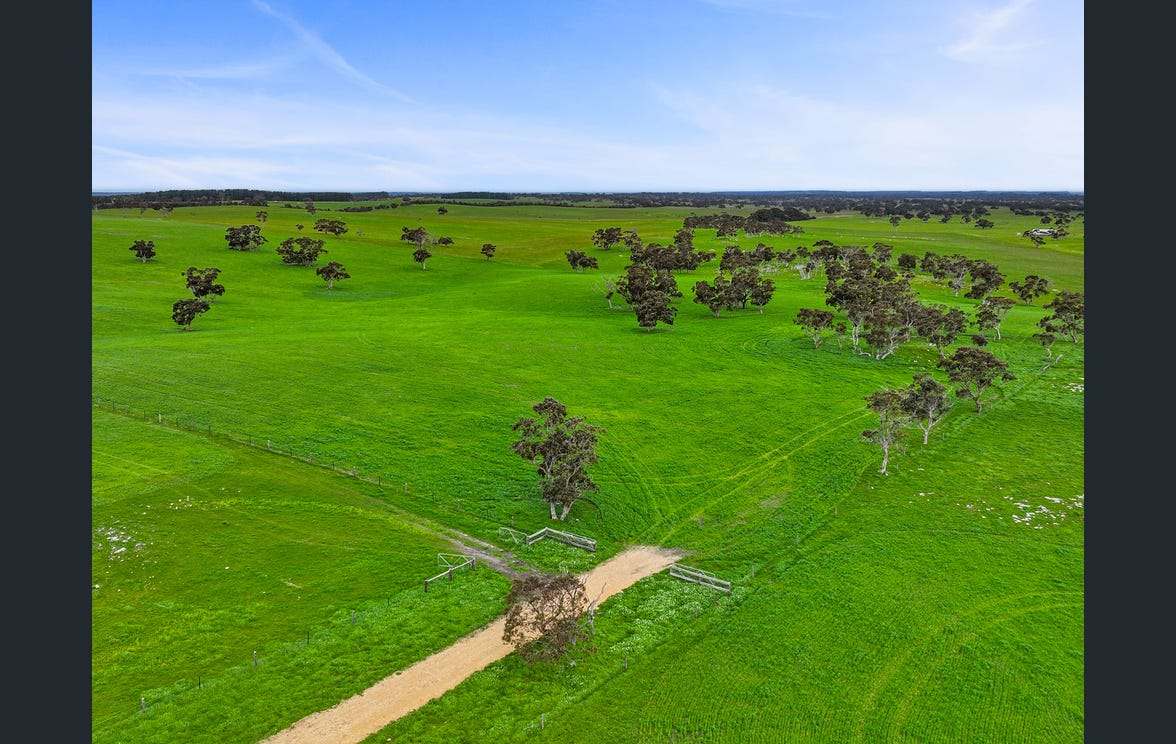 281 Crower Road, Avenue Range For Sale by Farmbuy.com - image 28
