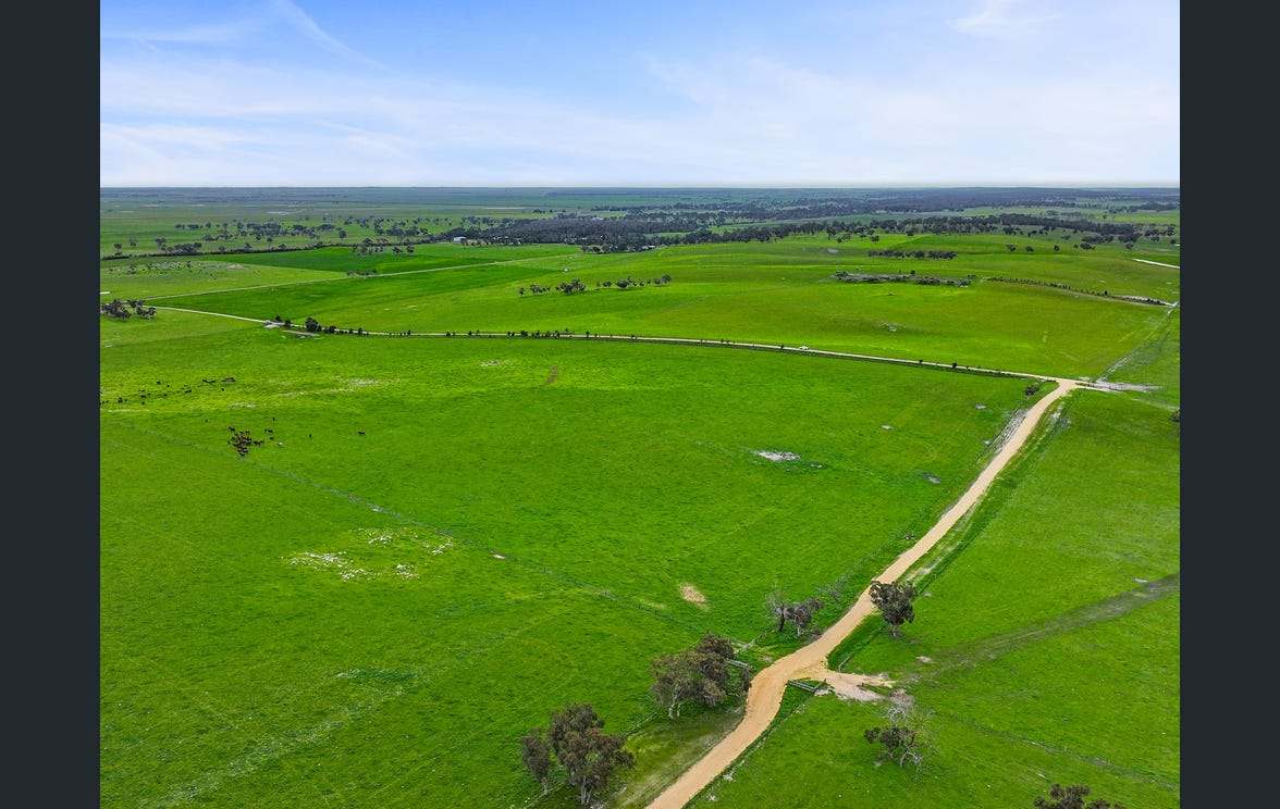 281 Crower Road, Avenue Range For Sale by Farmbuy.com - image 27