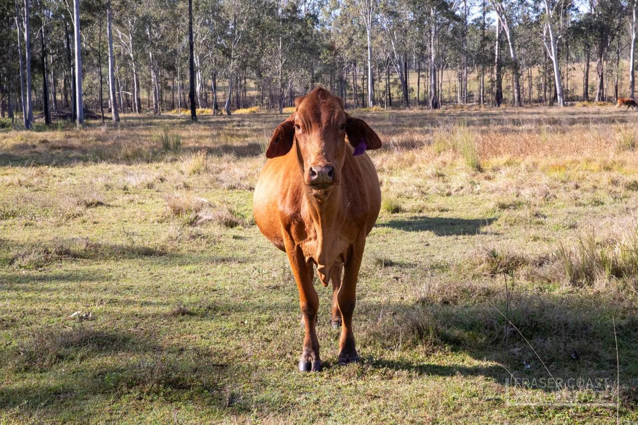 264 Thompson A Road, Woocoo For Sale by Farmbuy.com - image 11
