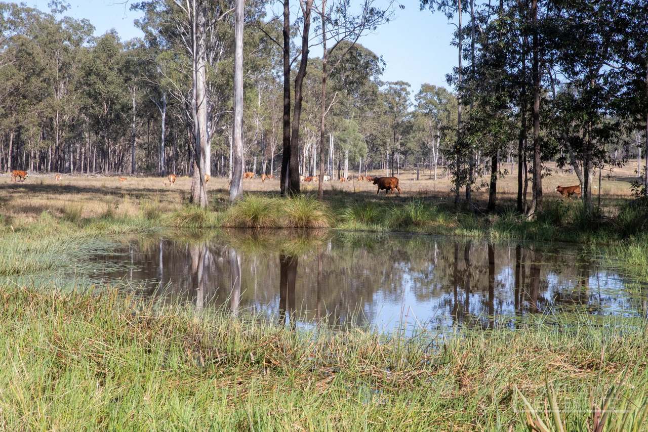 264 Thompson A Road, Woocoo For Sale by Farmbuy.com - image 4