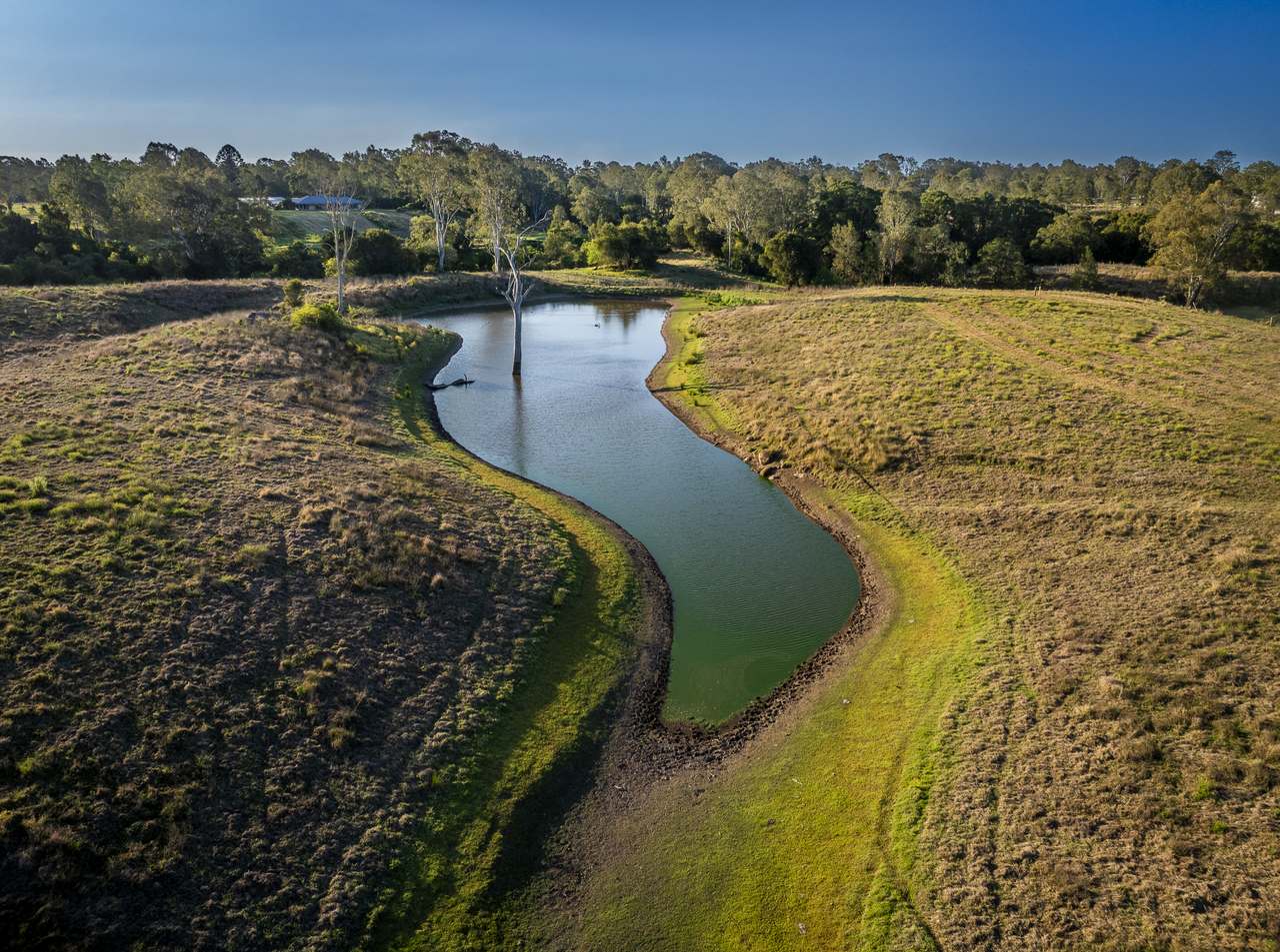 93 Hinds Rd, South Maclean Auction by Farmbuy.com - image 5