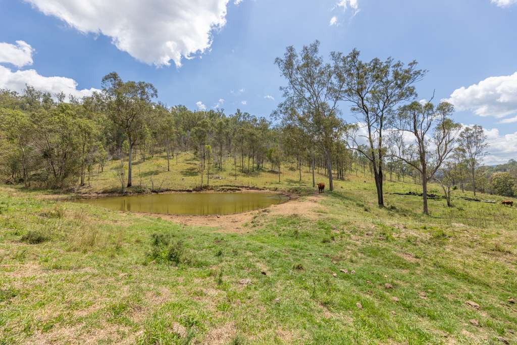 3169 Esk Kilcoy Road, Hazeldean For Sale by Farmbuy.com - image 9