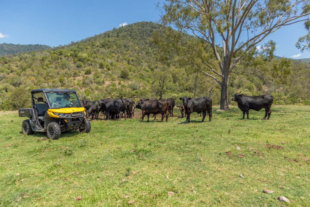 3169 Esk Kilcoy Road, Hazeldean For Sale by Farmbuy.com - image 1