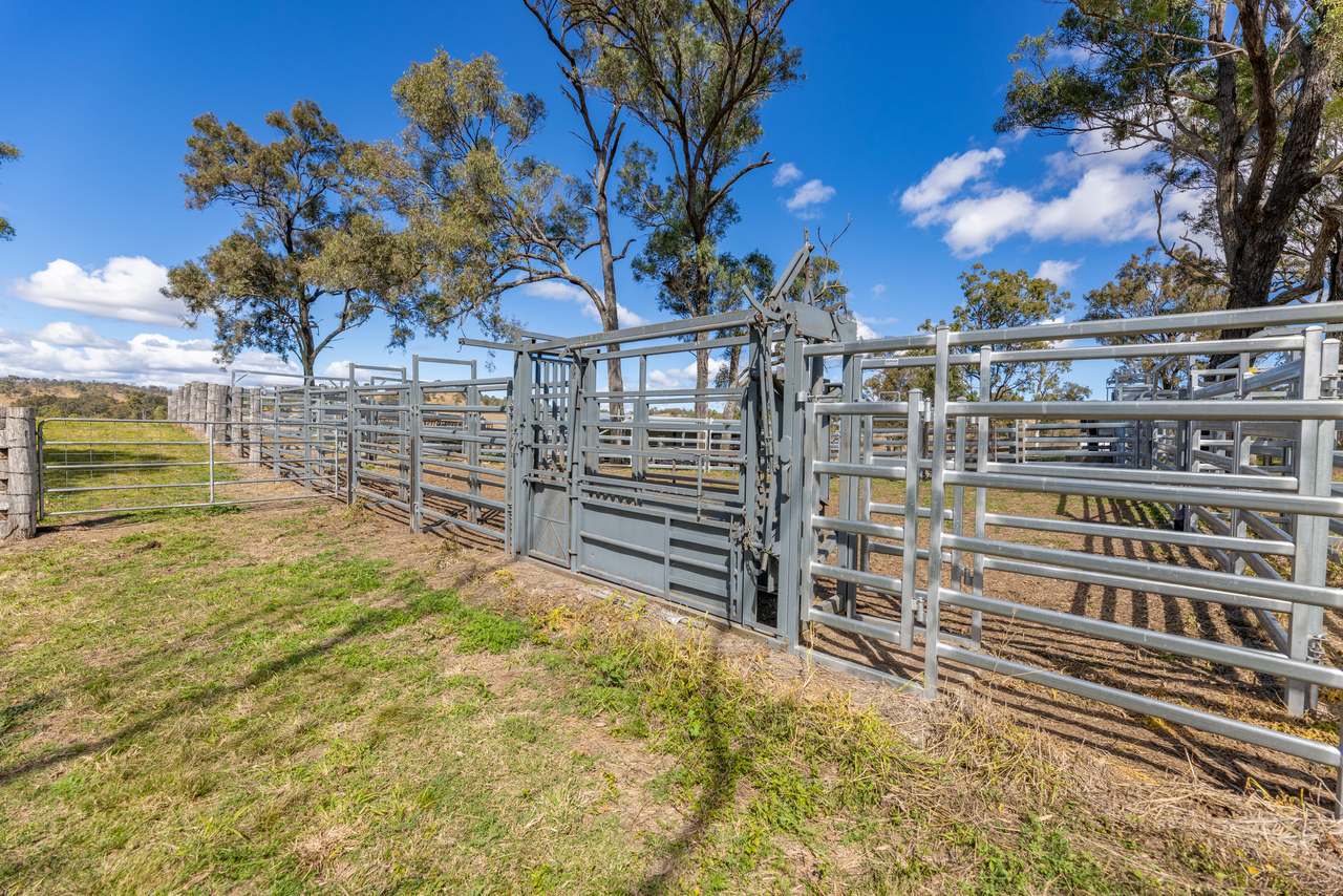 Elginvale For Sale by Farmbuy.com - image 19