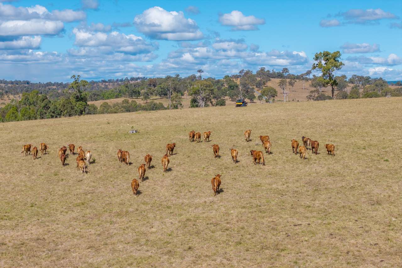 Elginvale For Sale by Farmbuy.com - image 25