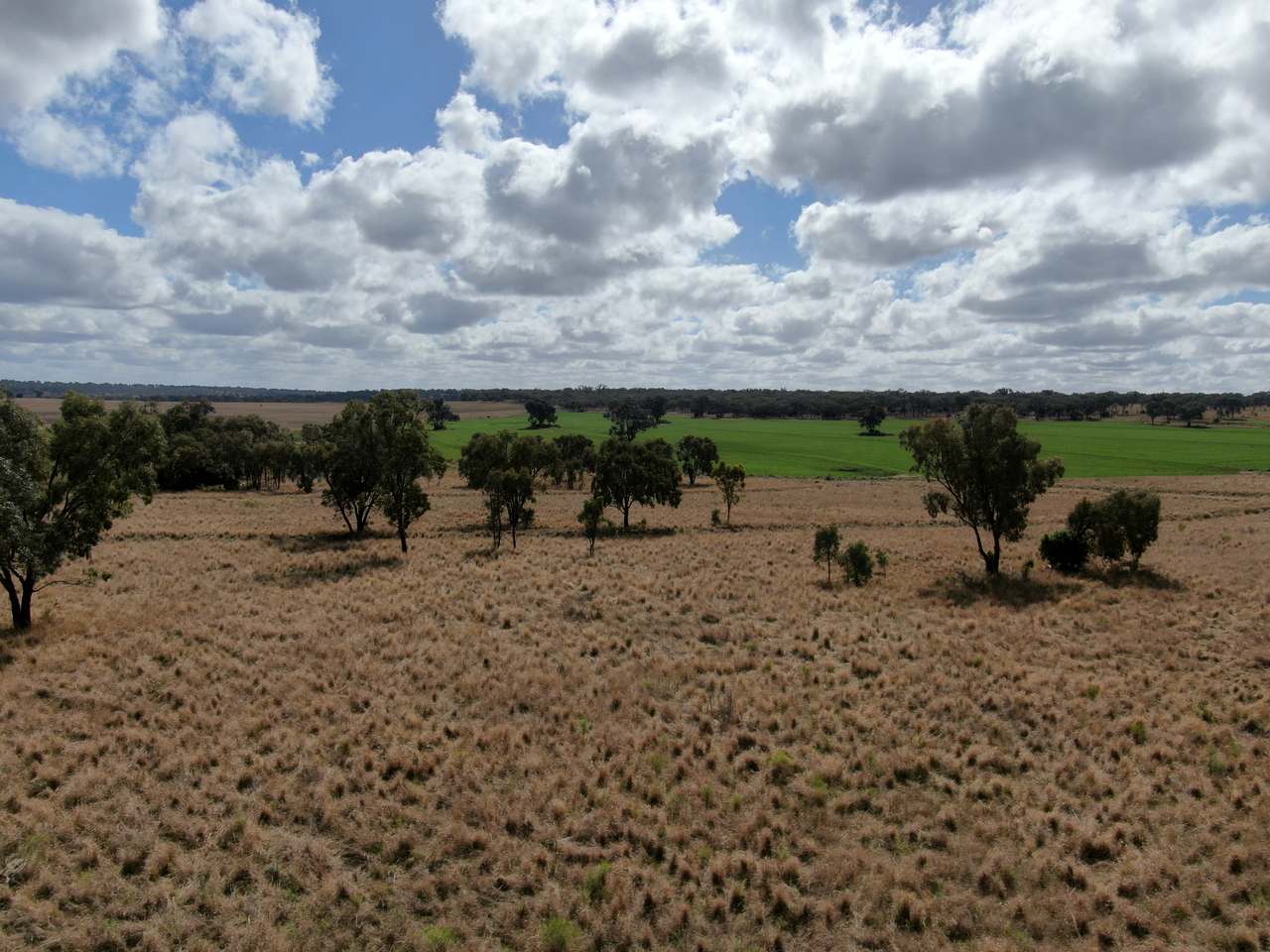 975 Cedarvale Road, Cooranga Expressions of Interest by Farmbuy.com - image 2