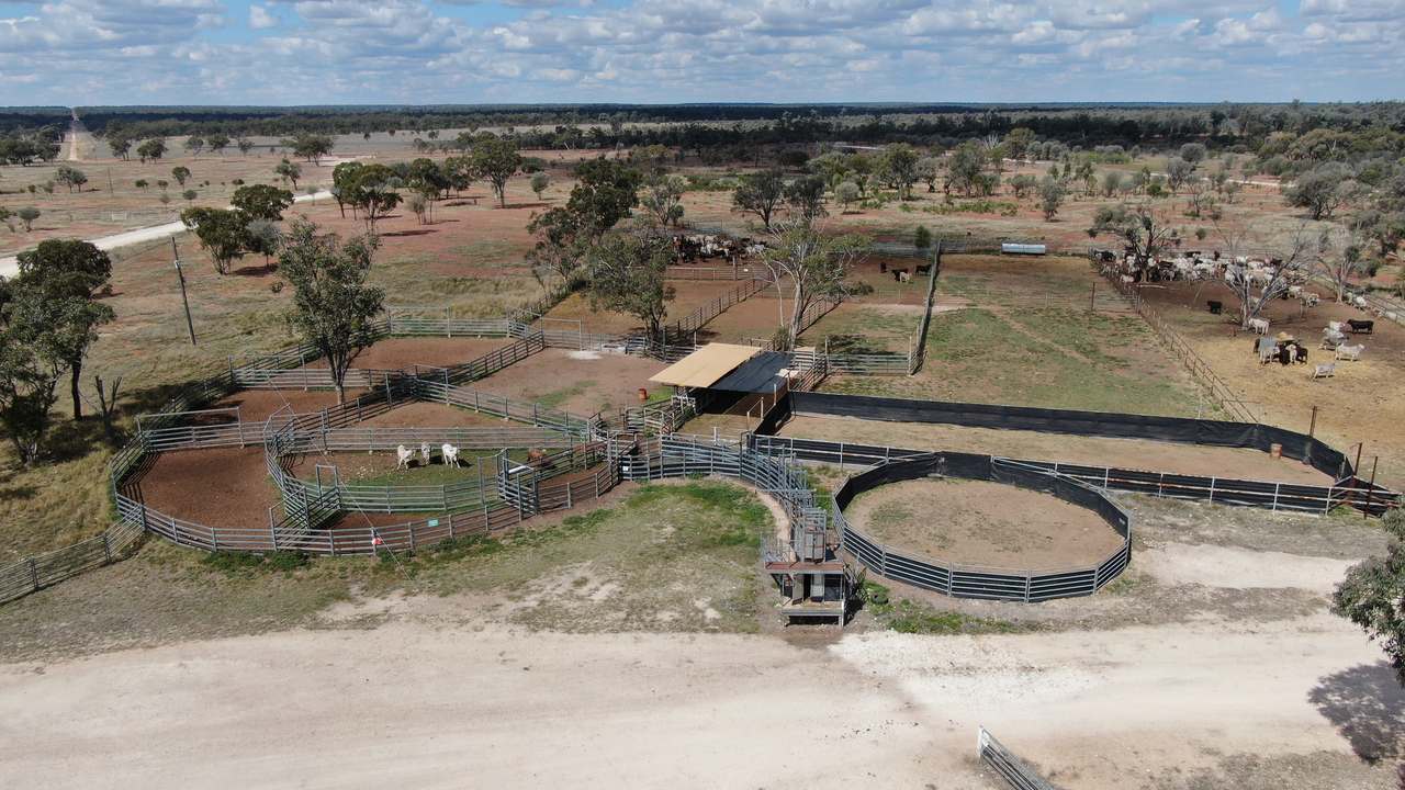 Ballaroo  For Sale by Farmbuy.com - image 12