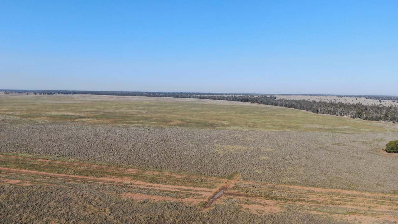 Ballaroo  For Sale by Farmbuy.com - image 7