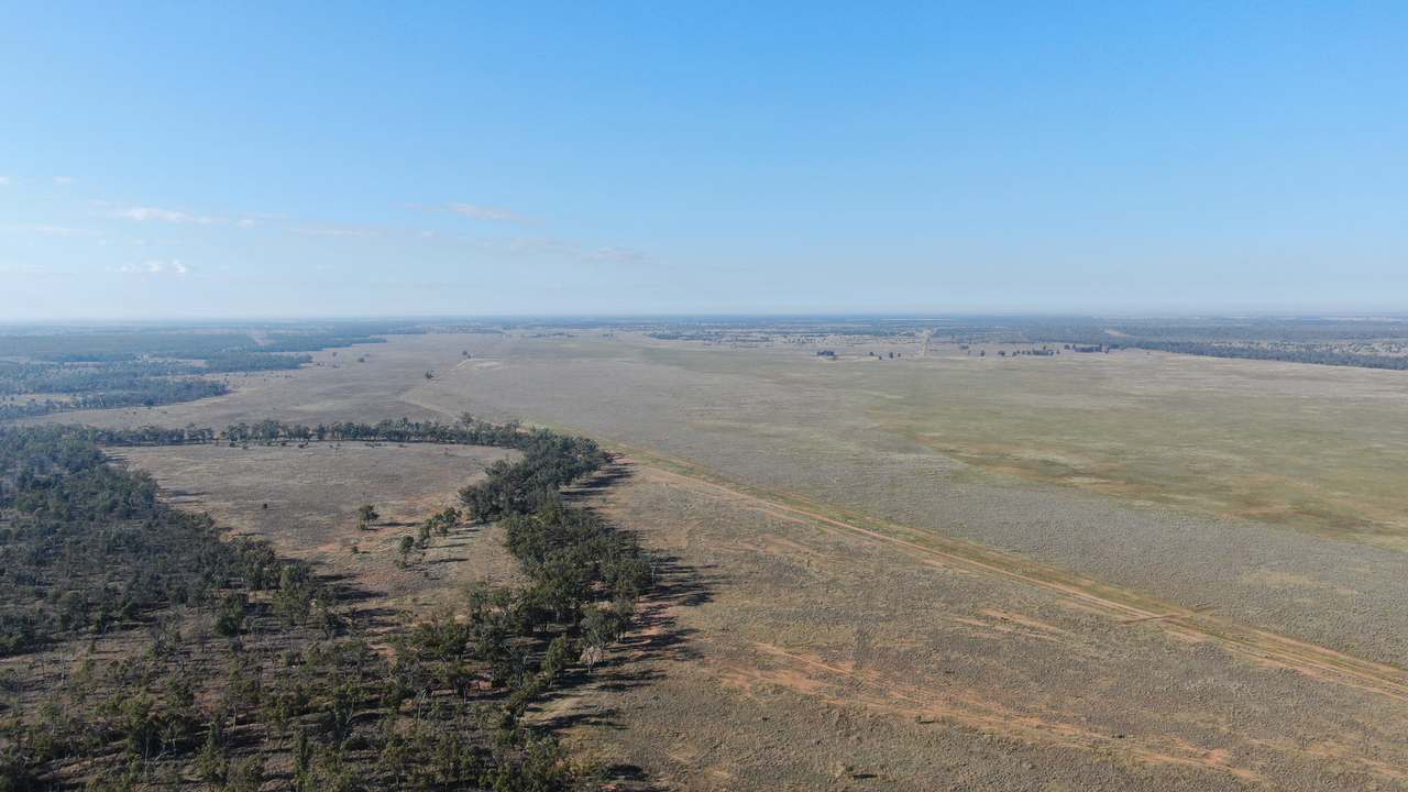 Ballaroo  For Sale by Farmbuy.com - image 4