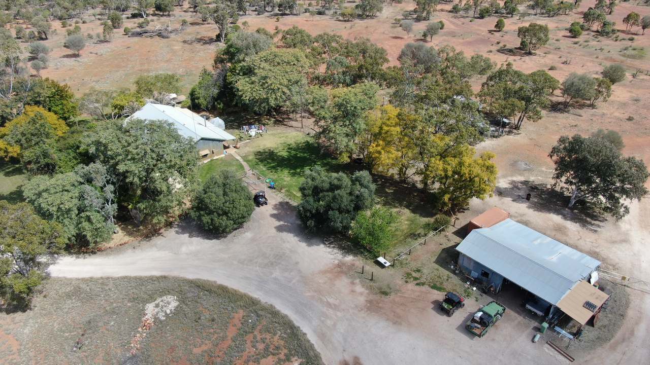 Ballaroo  For Sale by Farmbuy.com - image 19