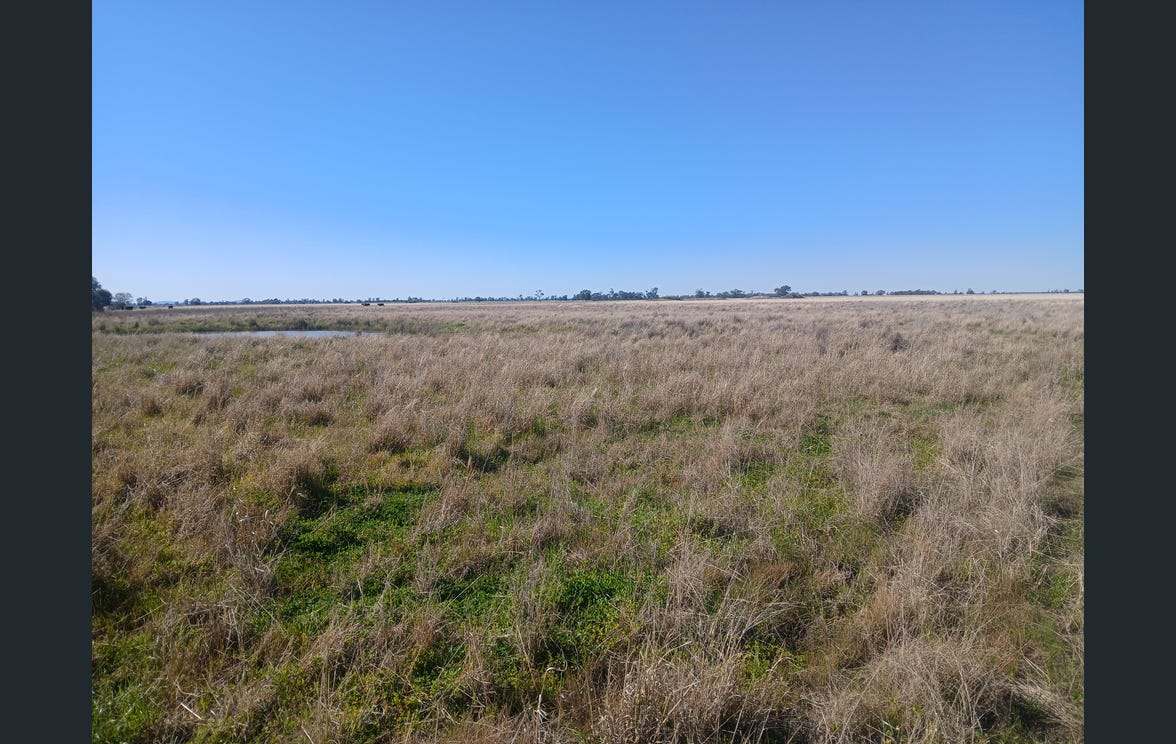 795 Armatree Road, Armatree Auction by Farmbuy.com - image 2