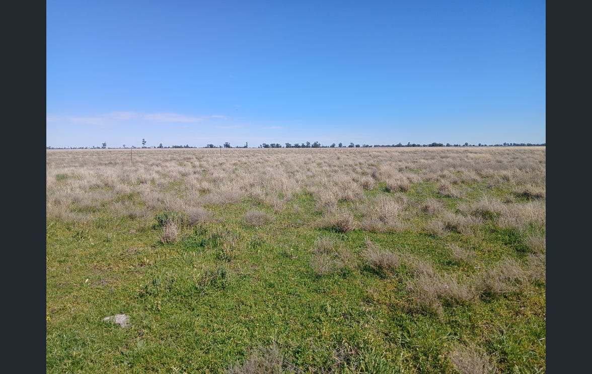 795 Armatree Road, Armatree Auction by Farmbuy.com - image 29