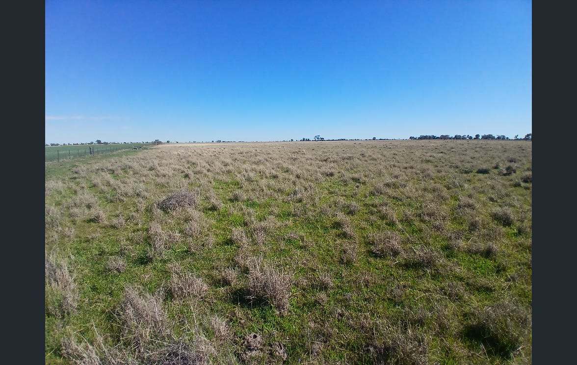795 Armatree Road, Armatree Auction by Farmbuy.com - image 21