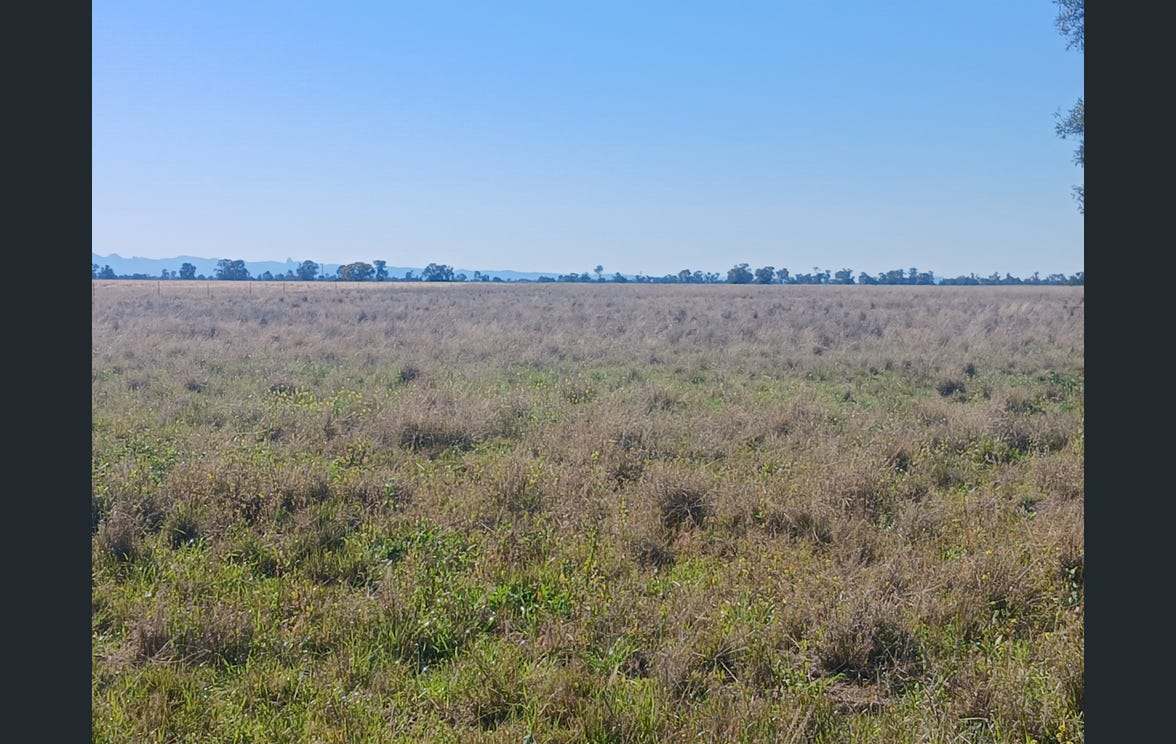 795 Armatree Road, Armatree Auction by Farmbuy.com - image 4