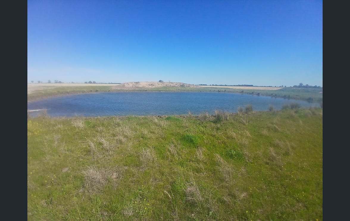 795 Armatree Road, Armatree Auction by Farmbuy.com - image 30