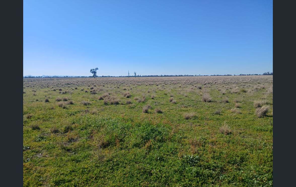 795 Armatree Road, Armatree Auction by Farmbuy.com - image 12