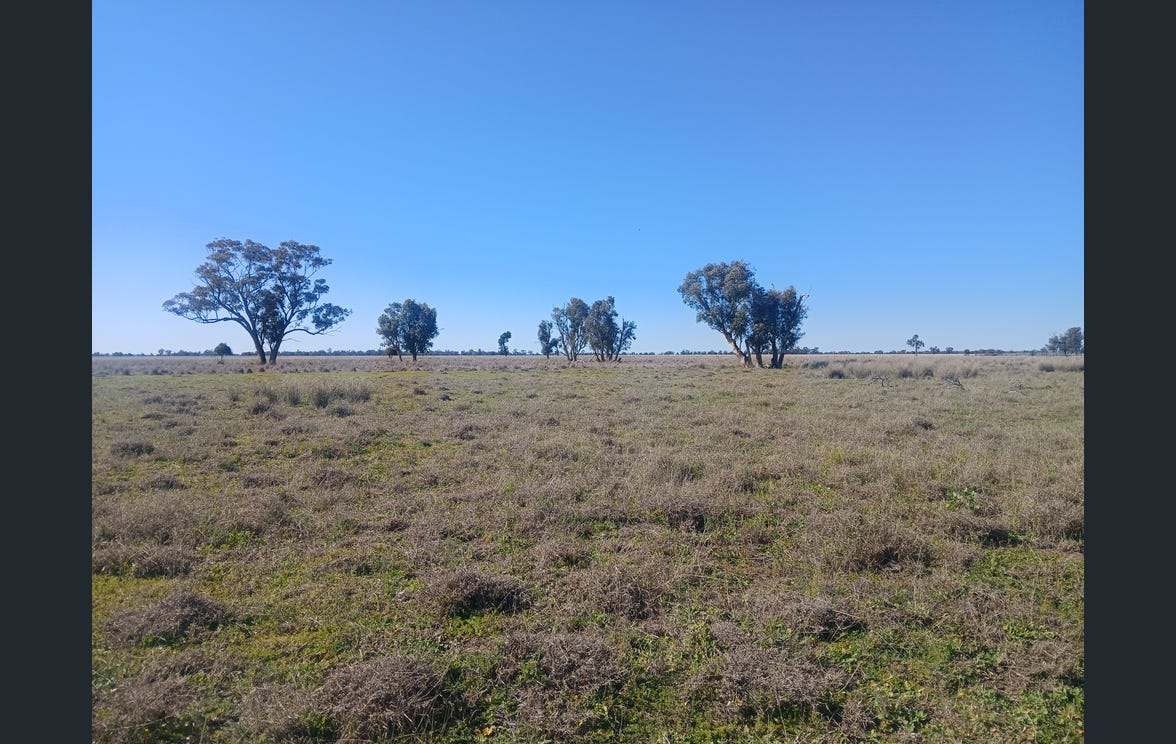 795 Armatree Road, Armatree Auction by Farmbuy.com - image 6